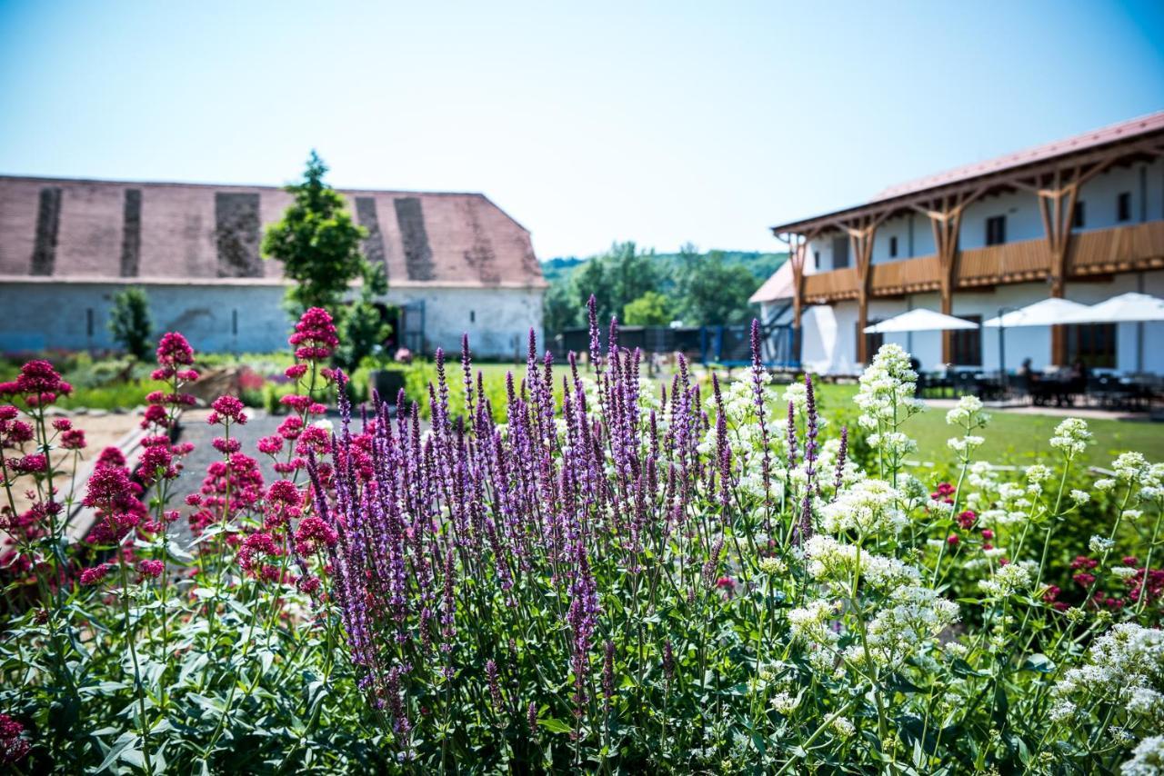 Dvur Perlova Voda Budyne nad Ohri エクステリア 写真