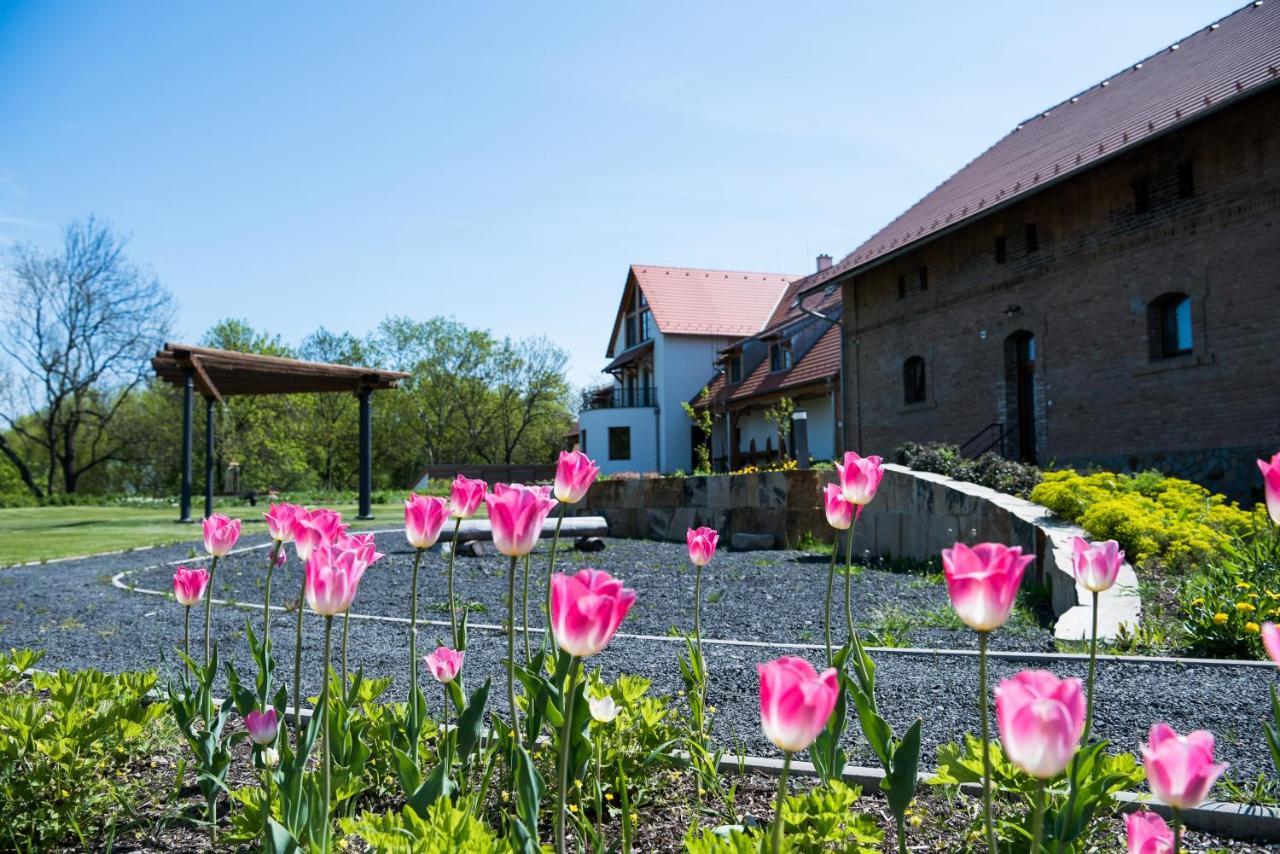 Dvur Perlova Voda Budyne nad Ohri エクステリア 写真